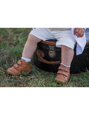 FRODDO PAIX UP COGNAC