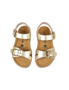 PLAKTON LISA SLIM OR