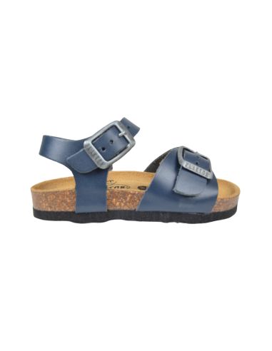 PLAKTON LOUISBLAUW