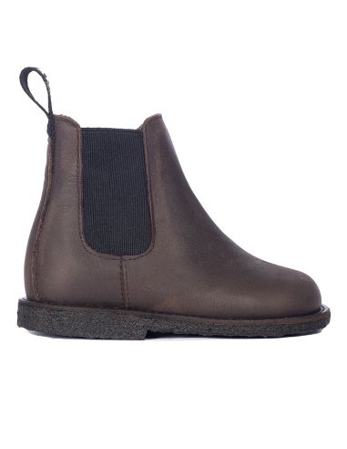ANGULUS 6153 BRUIN