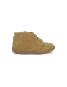 POM D'API STAND UP DERBY BISCUIT