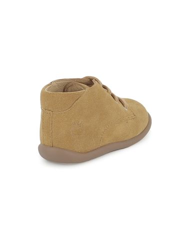 POM D'API STAND UP DERBY BISCUIT