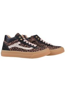 POLDINO 6801 BROWN 2