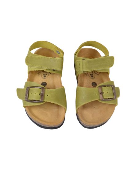 PLAKTON PARKER GREEN