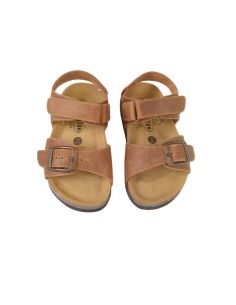 PLAKTON PARKER COGNAC 2